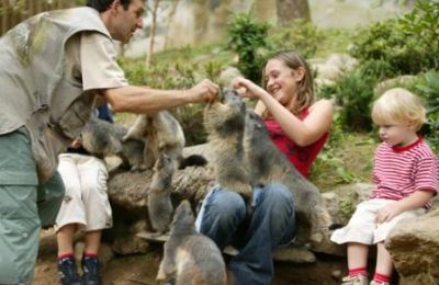 Parc animalier des Pyrénées