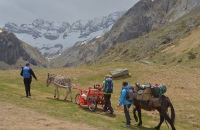 Aline - Accompagnatrice en montagne, sorties en escargolettes